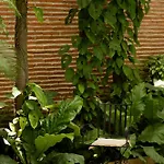 Hotel Boutique Patio Corao