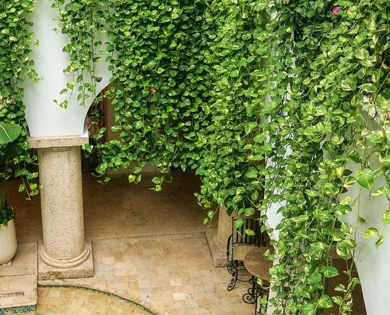 Hotel Boutique Patio Corao Cartagena