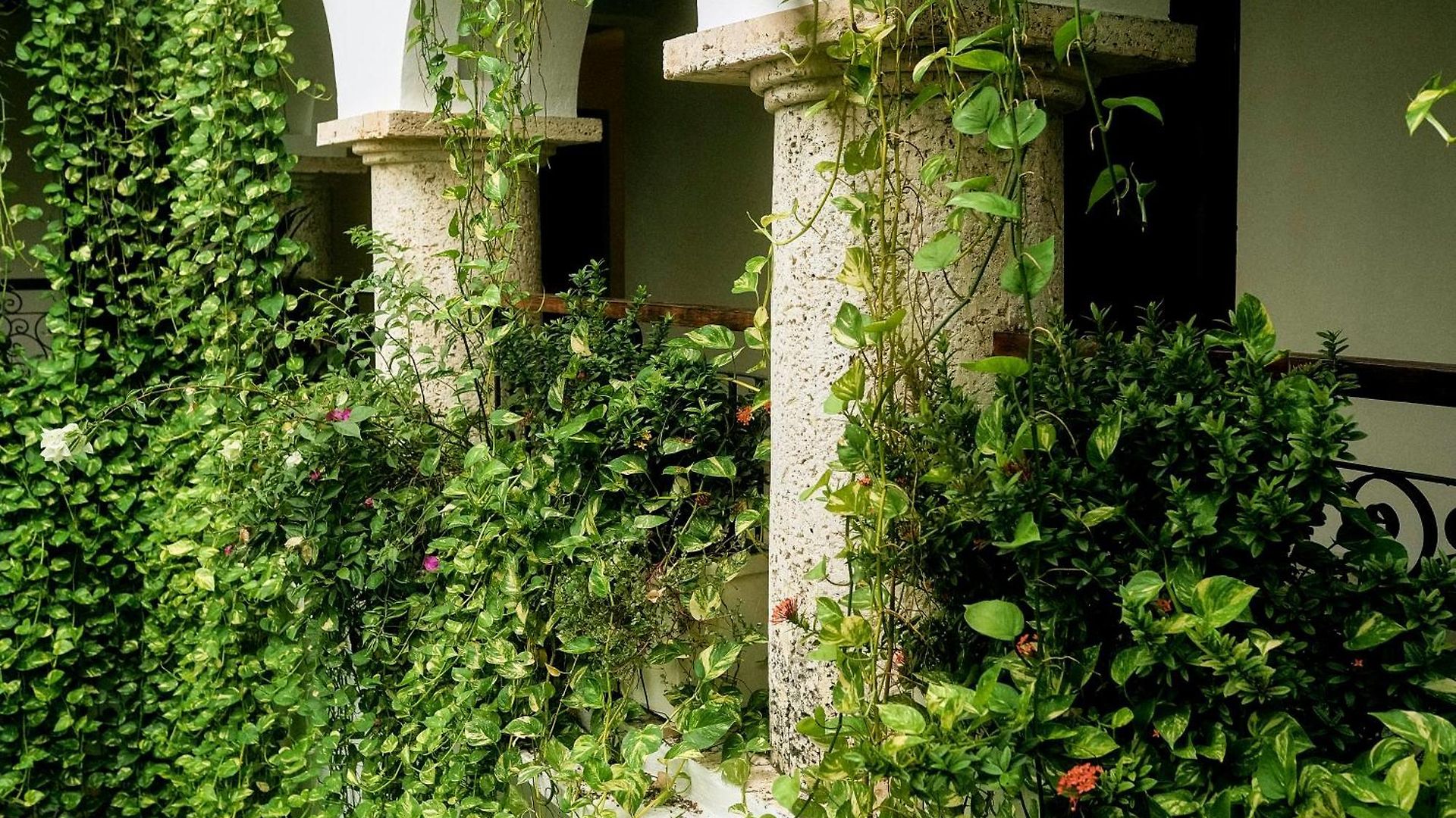 Hotel Boutique Patio Corao Cartagena