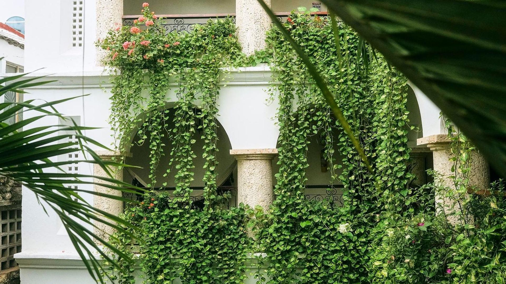 Boutique Patio Corao Hotel *