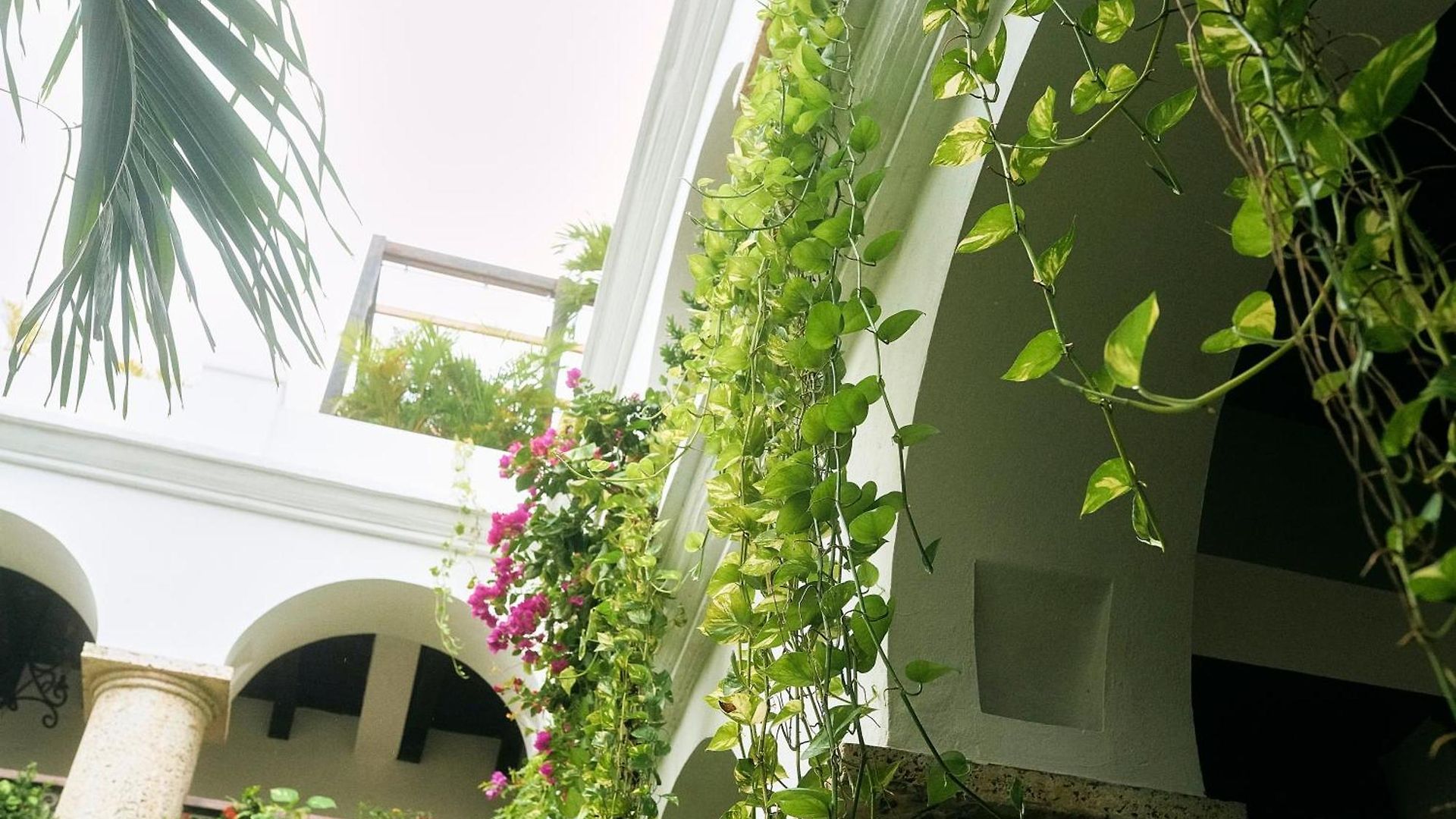 Hotel Boutique Patio Corao *