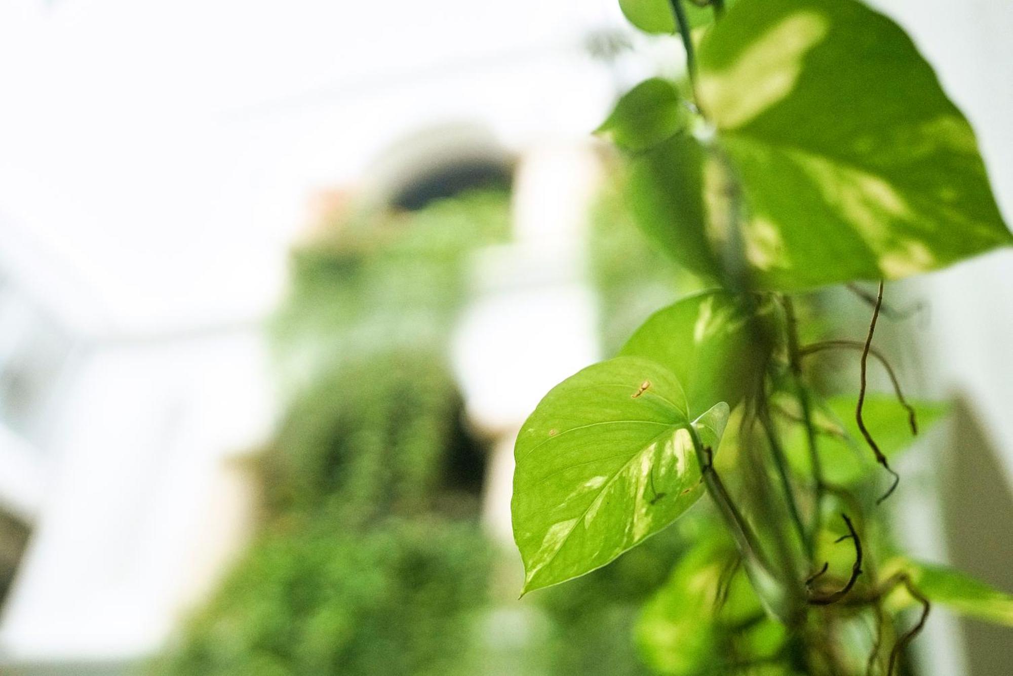 Boutique Patio Corao Cartagena