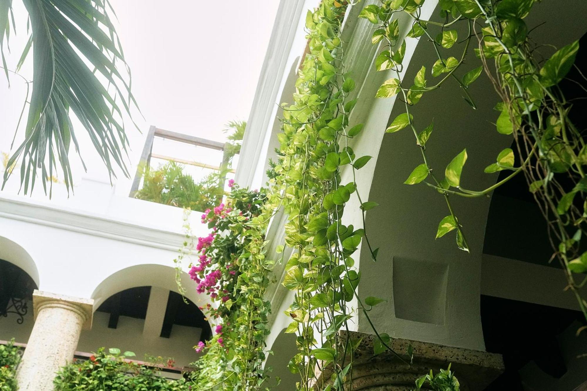 Hotel Boutique Patio Corao *