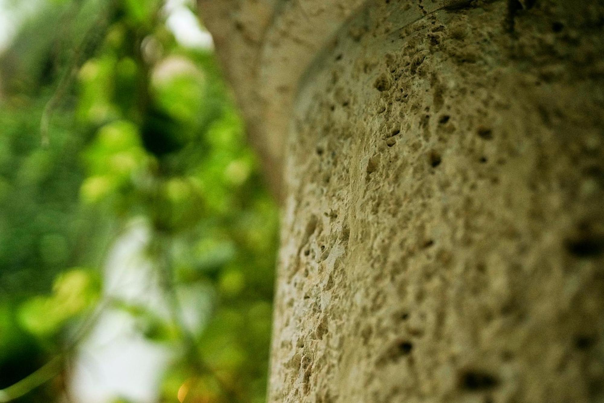 Boutique Patio Corao Cartagena