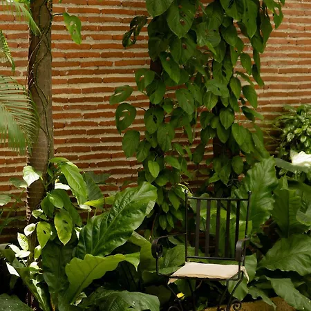 Boutique Patio Corao Hotel Cartagena