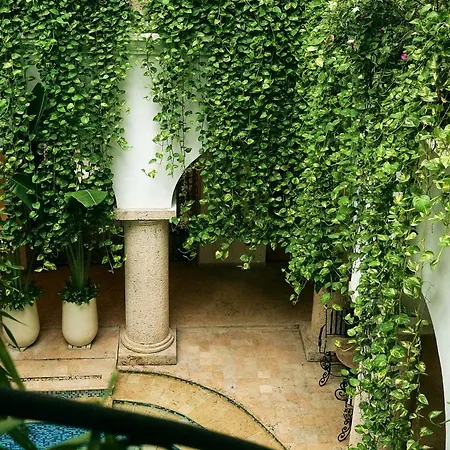 Boutique Patio Corao Hotel *