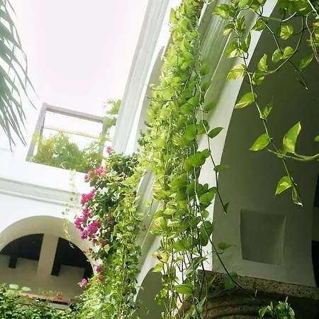 Hotel Boutique Patio Corao *